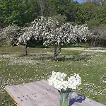 Kuelalistemaja Kukruse Residents 4* Kohtla-Järve