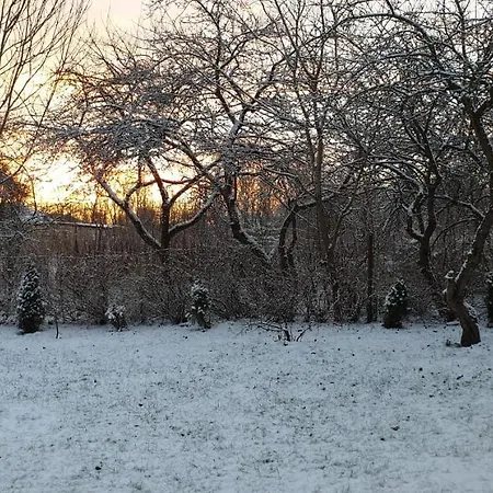 Kuelalistemaja Kukruse Residents Kohtla-Järve