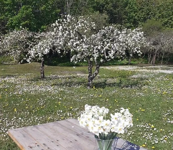 Kuelalistemaja Kukruse Residents 4* Kohtla-Järve