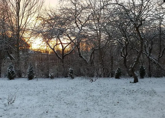 Kuelalistemaja Kukruse Residents Kohtla-Järve